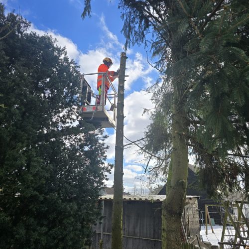 PHOTO-2026-03-27-21-45-50 3